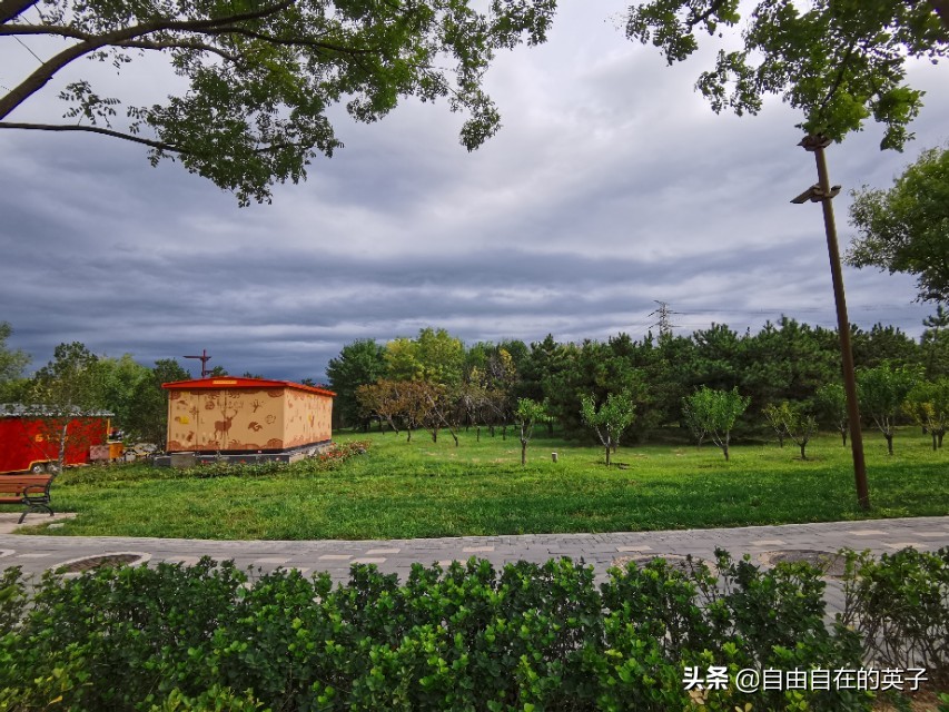 南海子湿地公园攻略,南海子湿地公园分布图