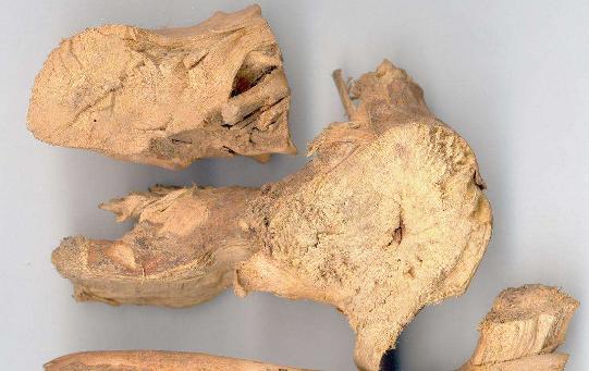 燥湿解表的中药有哪些,滋阴清热利湿中药