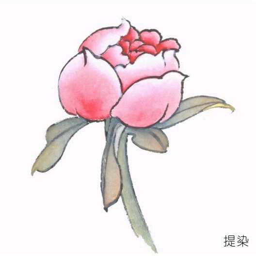 工笔渲染手法技巧,工笔画着色技法视频