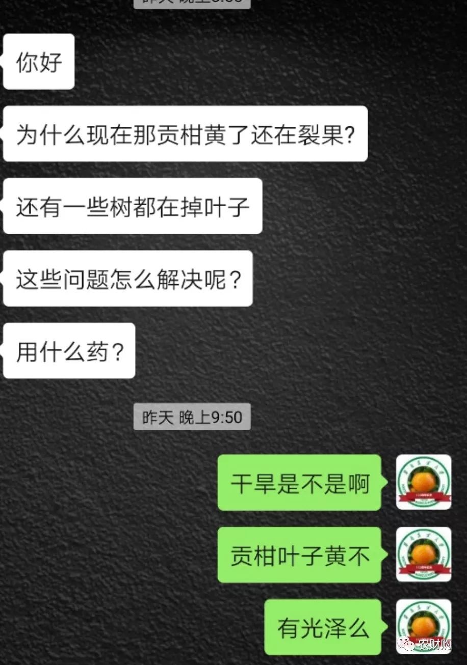 柑橘爱媛用什么肥能提早上市,脐橙爱媛