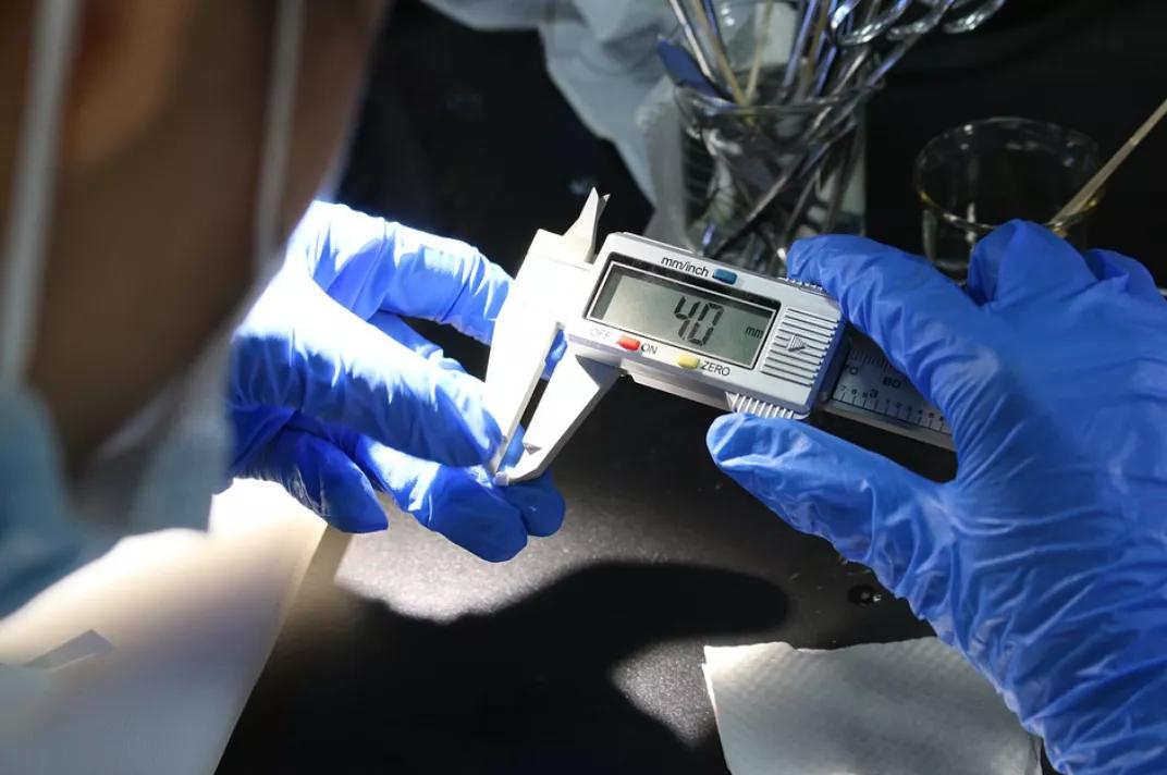 夺冠绝不只是一个人的成就,中国运动员夺冠时刻