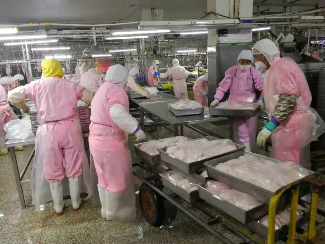 成武县呱呱鸭食品公司:节后复工防疫生产两不误