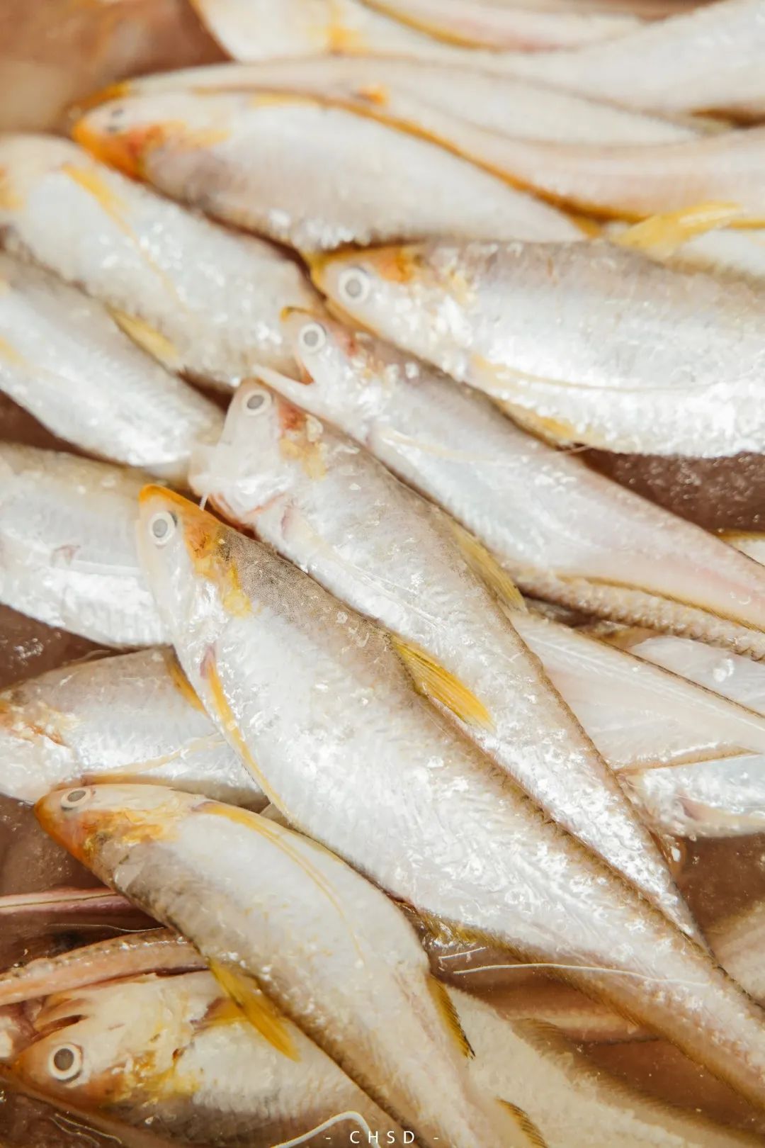 开渔啦一大波海鲜,开渔喽