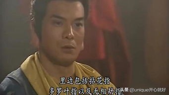 穿越到各种武侠世界,穿越金庸武侠世界学什么武功