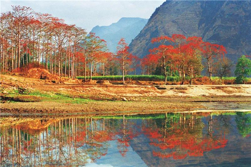 来云南一起看风景吧,来云南一起过年吧