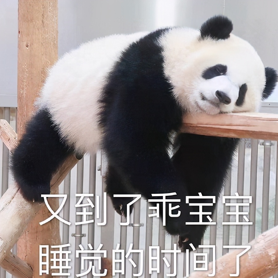 废物你除了睡觉还会干啥的表情包,混吃混喝做个快乐的废物表情包