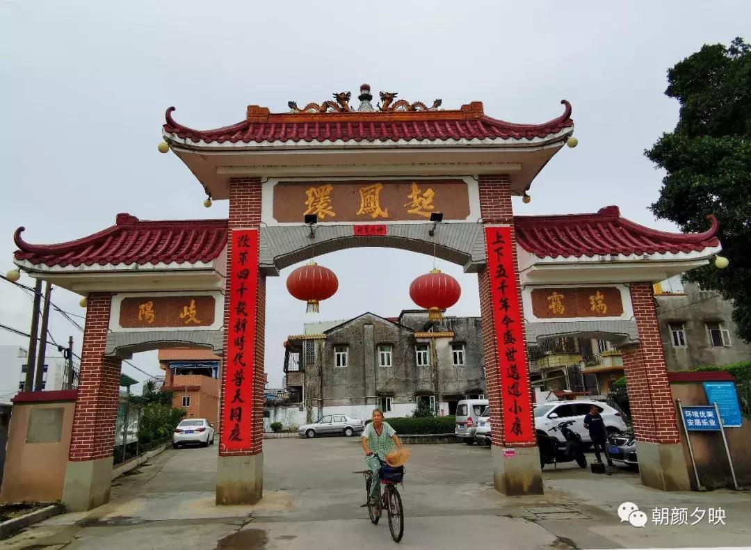 岐阳梧桐起凤环，鹭兮鹭兮寻不见（上）