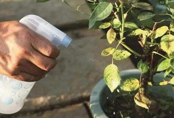 家里的药都过期了该如何处理,家中七种过期药品不要扔