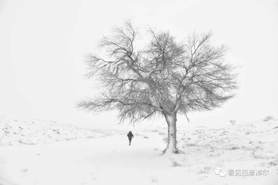 内蒙古巴彦淖尔有多美,巴彦淖尔有多美