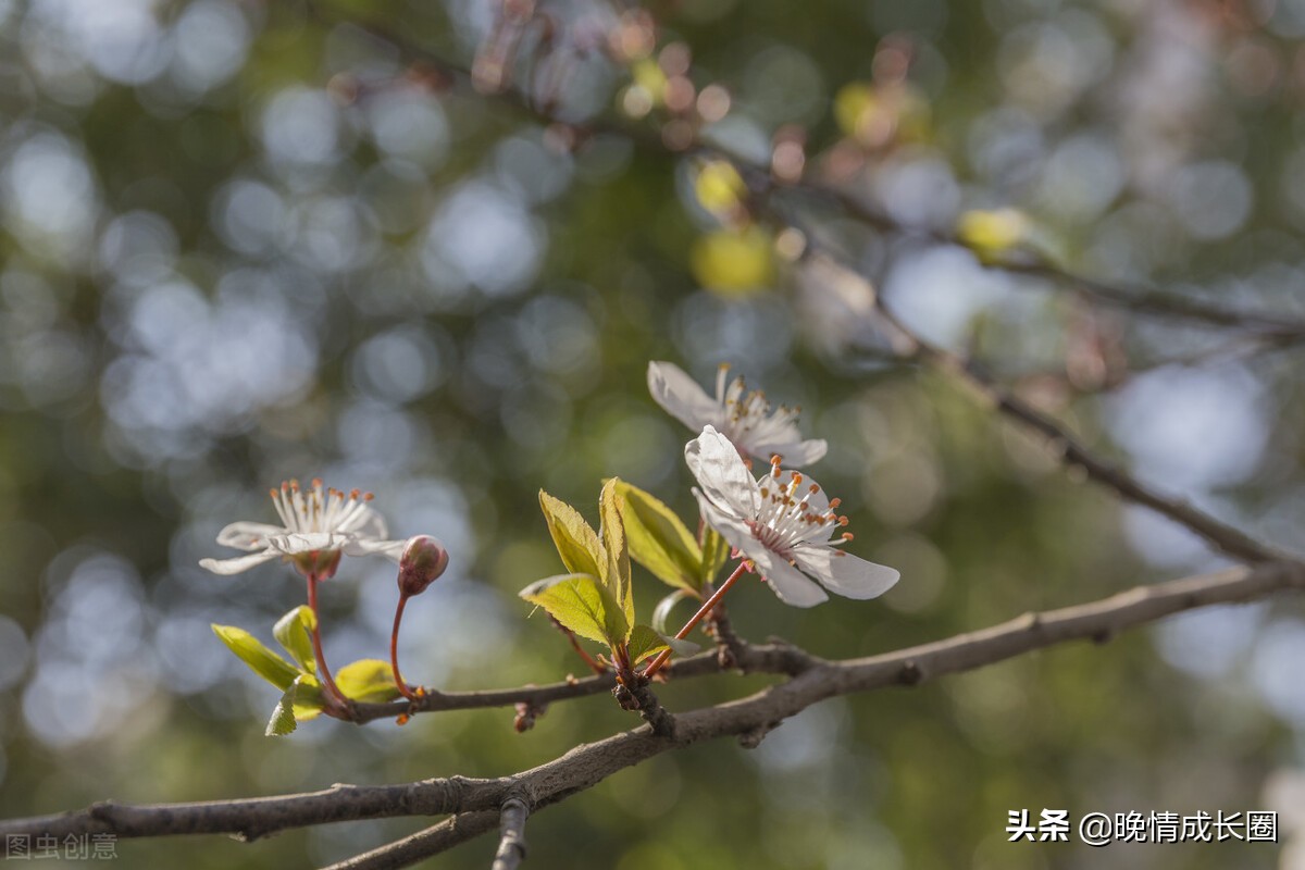 别把感情利用到极致,别把人情说短了