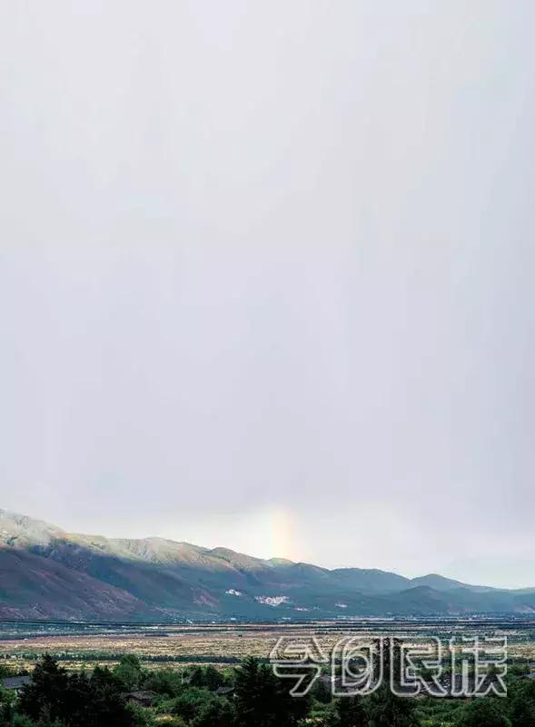 寻找失踪的学者为什么找不到,寻找消失的学者在哪