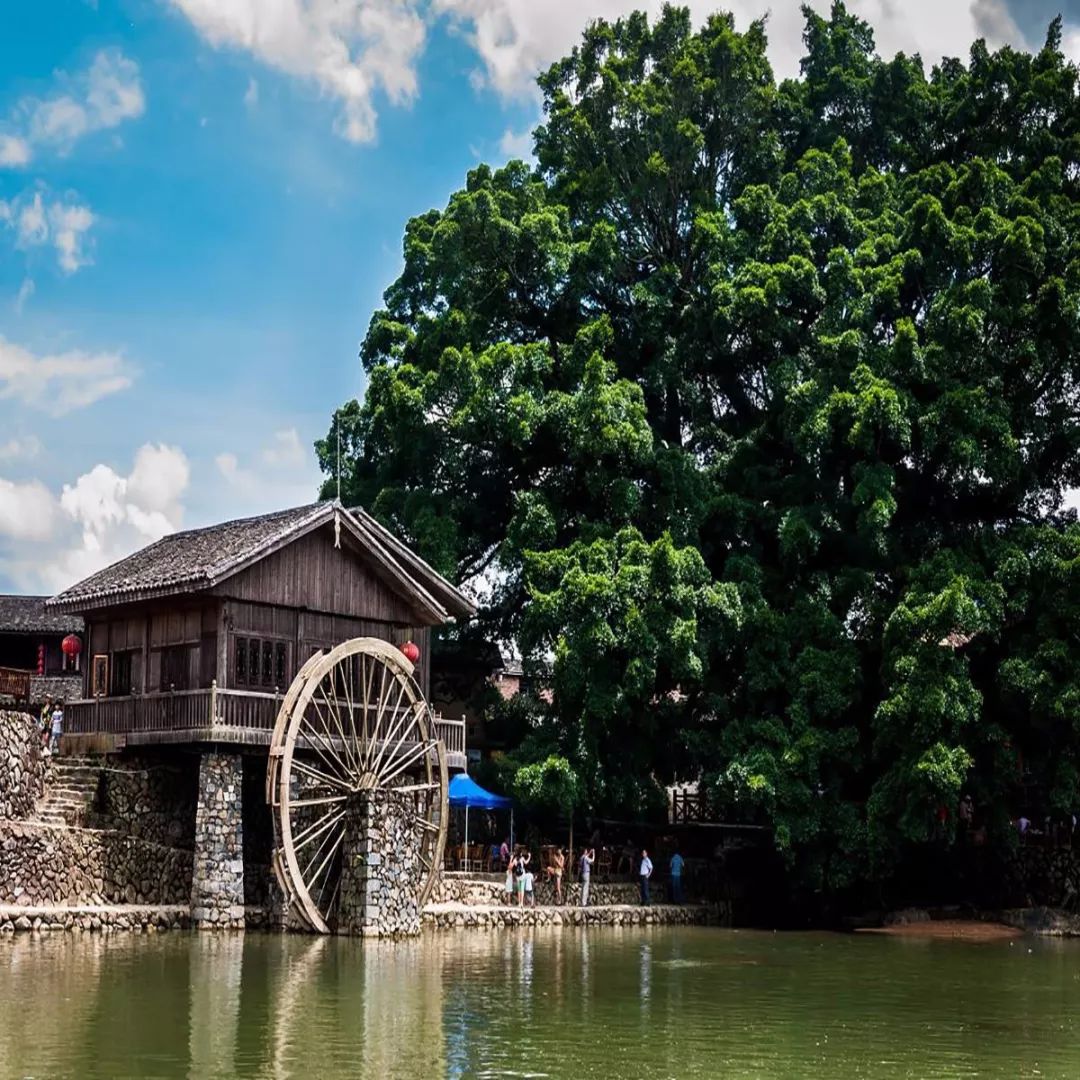 厦门闽南文化研学营,厦门闽南文化研学