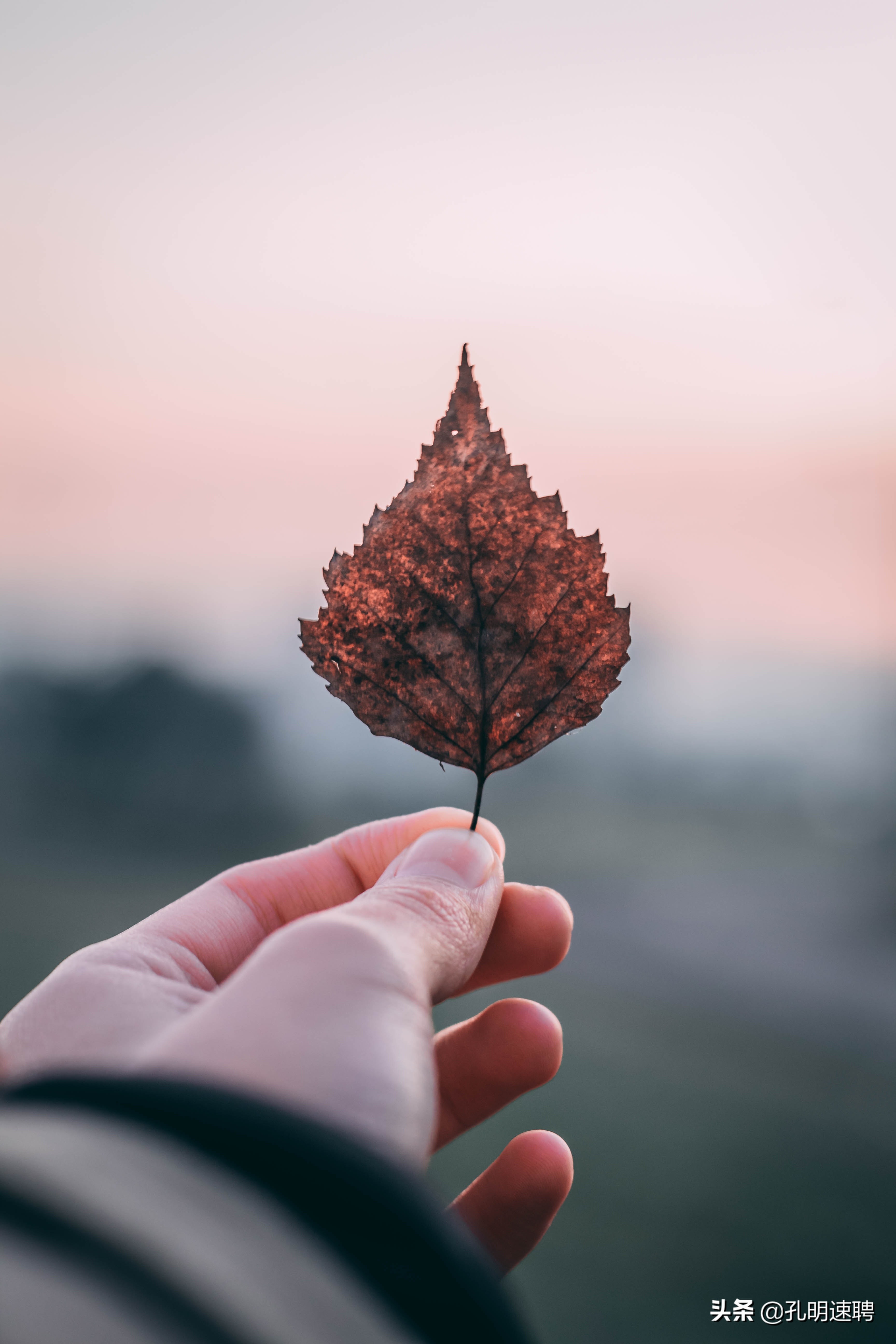 面对公司领导pua你该怎么办,面对领导的pua最好的做法