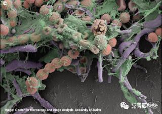 蠢萌蠢萌的洗澡鸭，差点让我儿子失去了一只眼