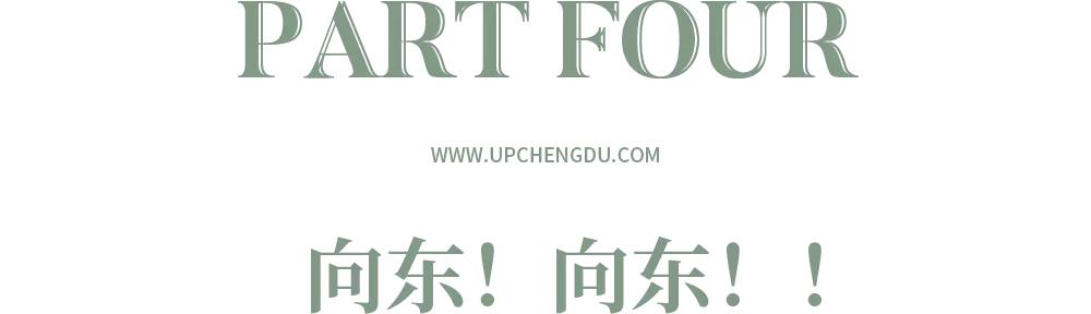 东部新区与天府新区,东部新区和天府新区