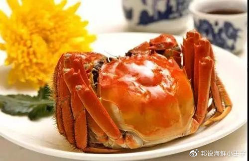 螃蟹夹到手有毒吗,被螃蟹夹了不松手怎么办