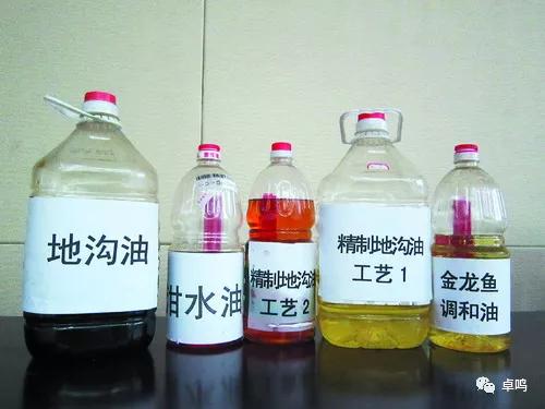 携手共进,共享未来!卓鸣“领康云”庆祝合肥宽虹餐饮首批入驻