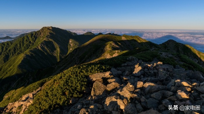 日立收购高端家电品牌,日立白色家电出售