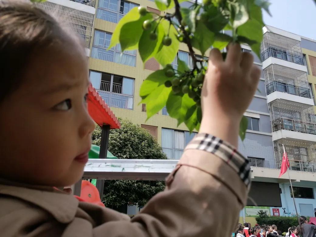 成都市双流区胜利幼儿园主题活动,天府新区幼儿园活动