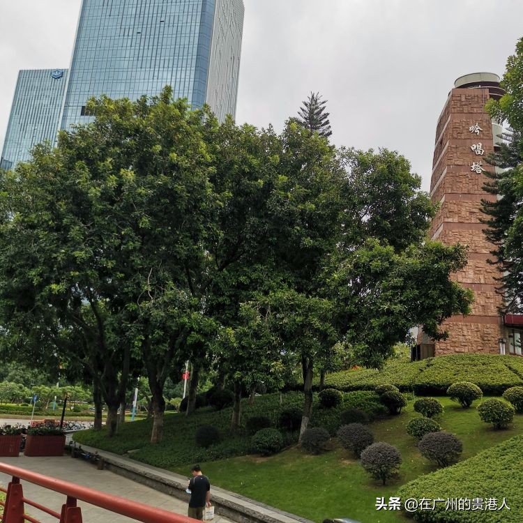 南海顺德为什么并入佛山,南海新区撤区影响