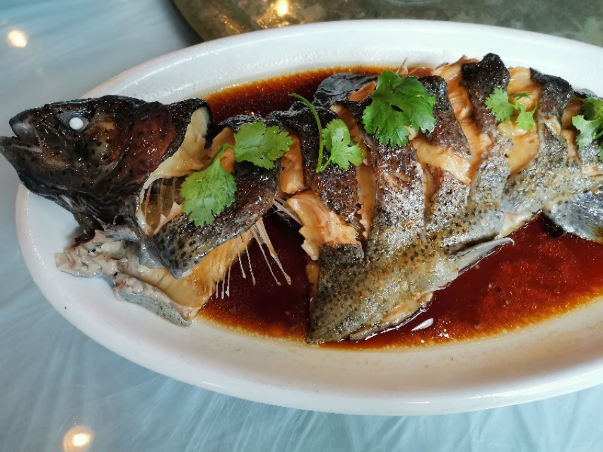 金鳟鱼虹鳟鱼冰鲜,广东冰鲜虹鳟鱼