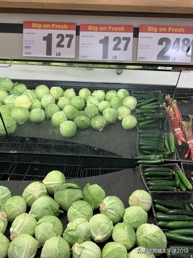 加拿大多伦多costco购物必买 (加拿大必买超市)