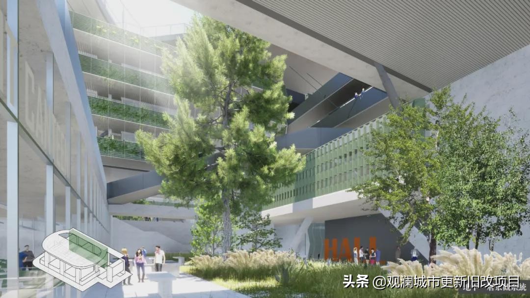 罗湖引入顶级学校,深圳罗湖高级学校