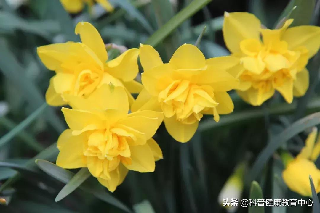 关于上火的饮食,上火的事情