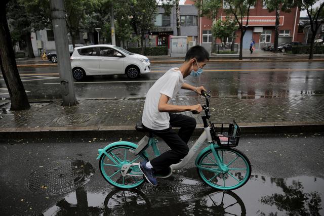 中国最贵的药1300万元,世界上最贵的草药有哪些