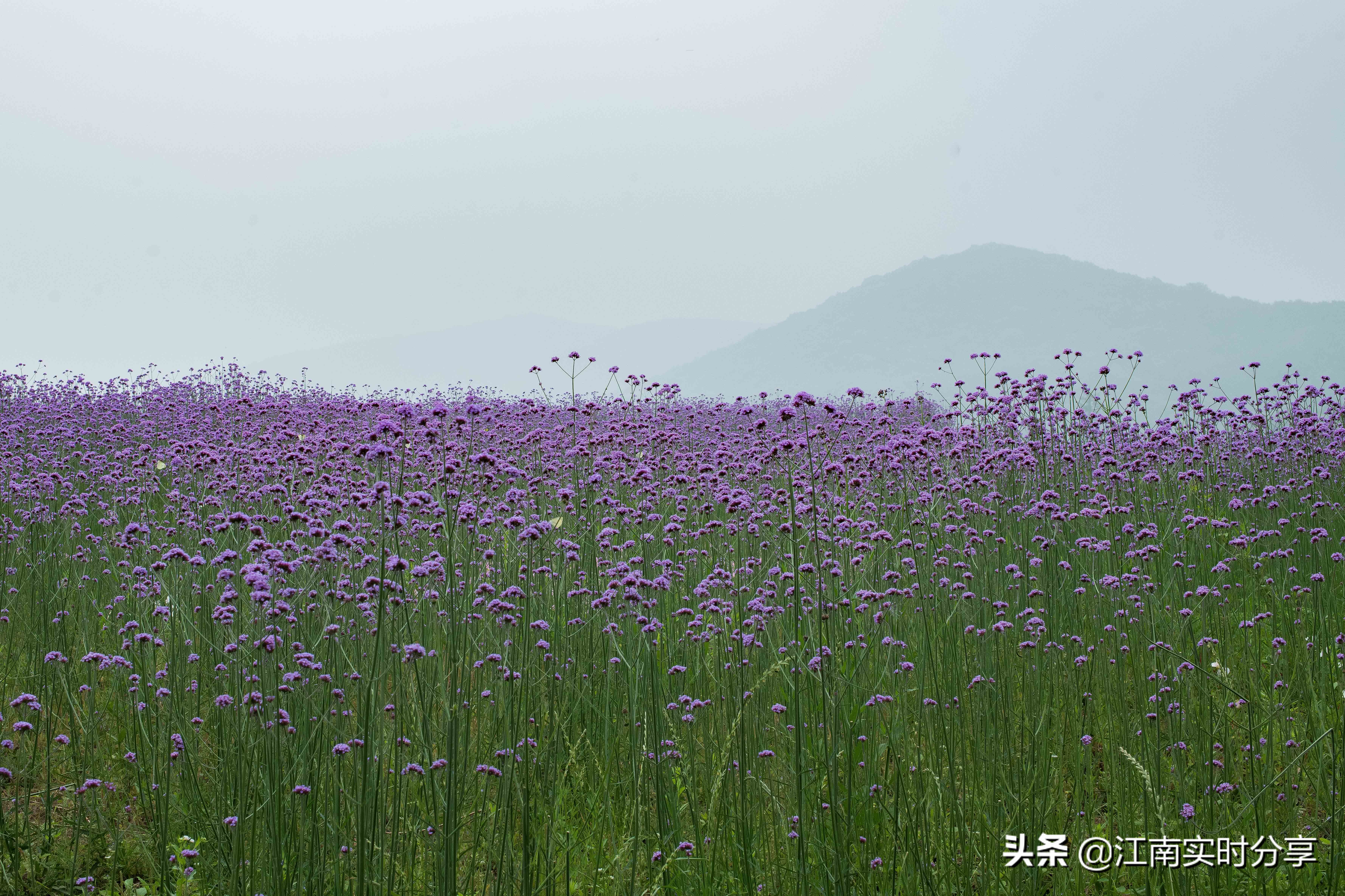 无锡自驾旅游景点推荐一日游攻略,无锡暑期旅游攻略