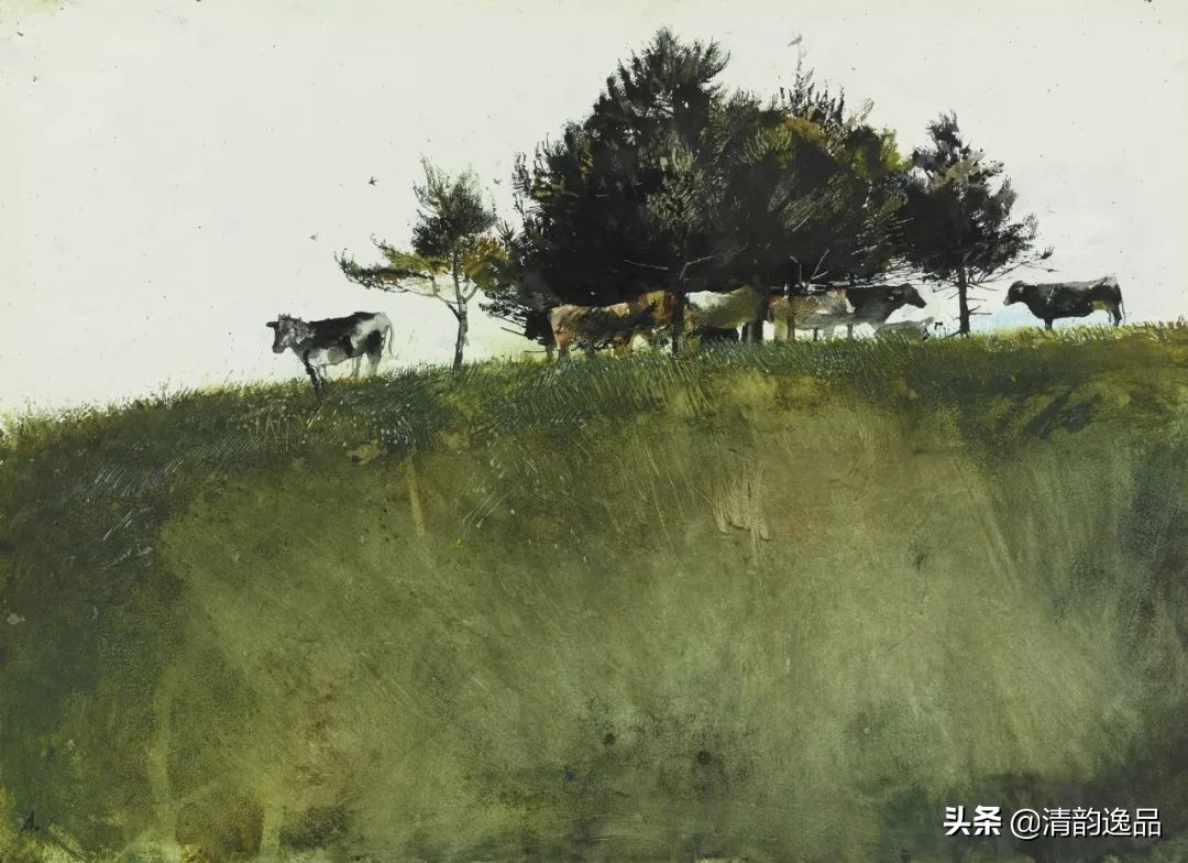 类似安德鲁怀斯的画家,安德鲁怀斯画家视频