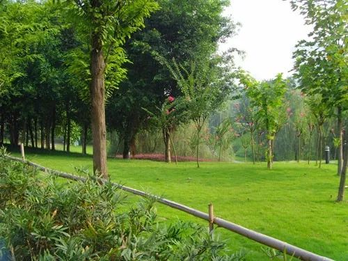 重庆新增哪6条地铁,重庆地铁15号线站点最新动工情况