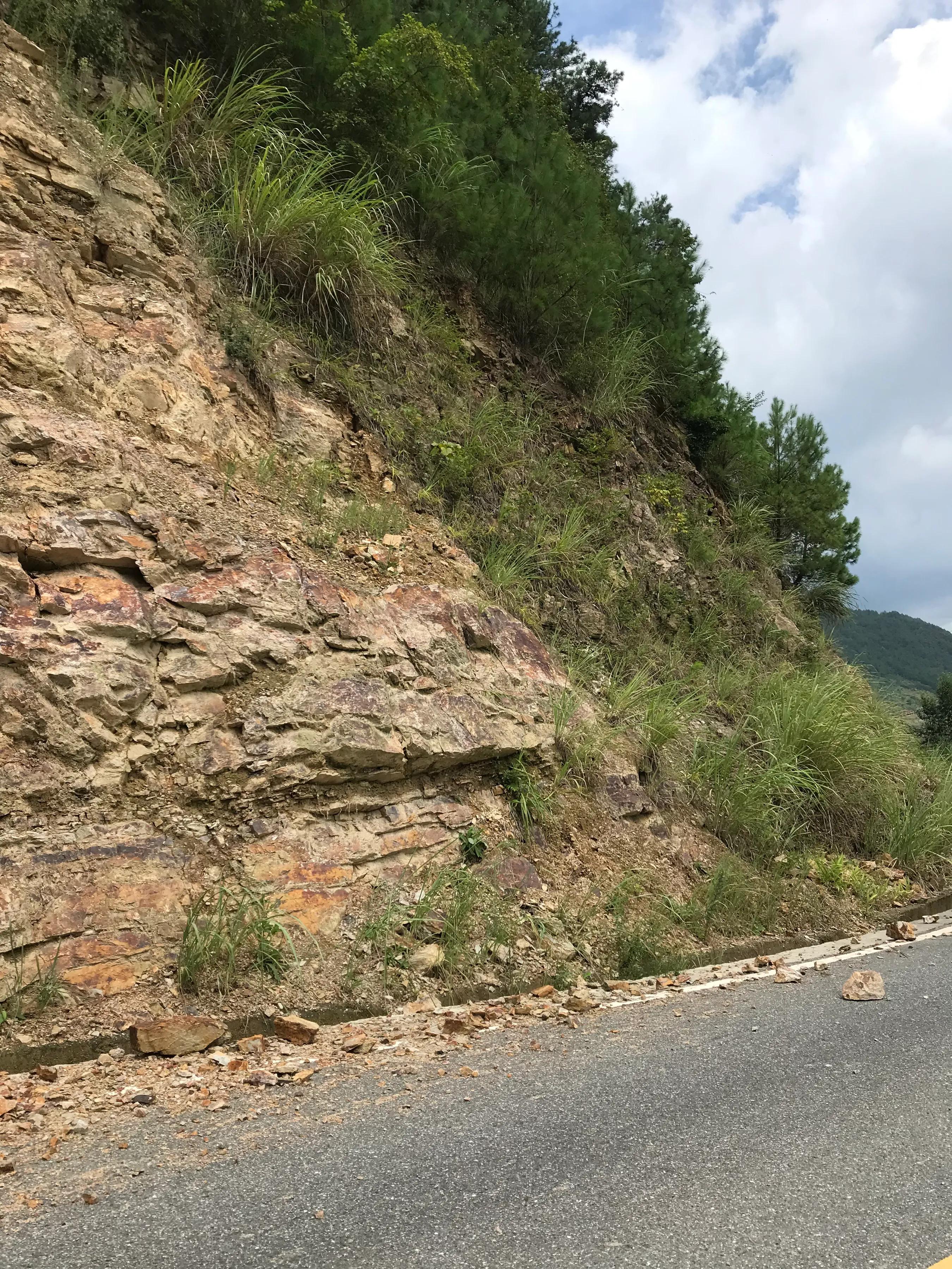 山远近路横斜读音,山远近路横斜青旗沽酒有人家意思