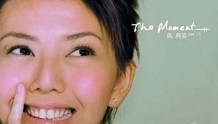 孙燕姿最牛专辑,孙燕姿十大专辑