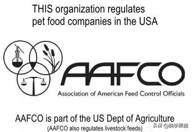 零食罐头猫咪能吃饱吗,零食罐头猫咪用不用