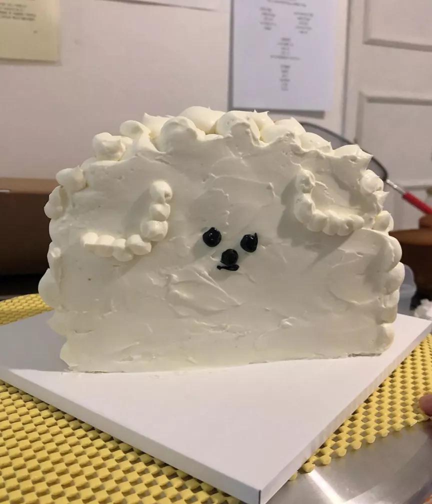 38岁独居全职博主,韩国独居博主