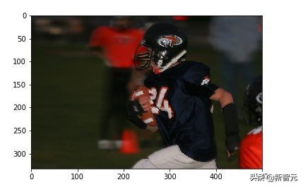 bp神经网络简单实现,如何搭建一个自己的视觉神经网络