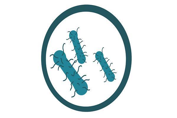 过度清肠的危害,过度减肥的危害有哪些