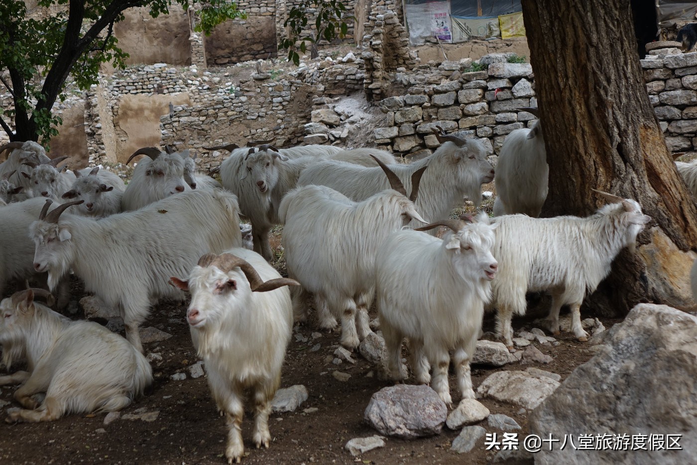 张家口有什么峡谷,张家口有什么大峡谷