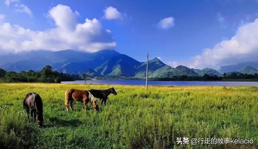 探秘神农架清凉好度夏,神农架大九湖避暑