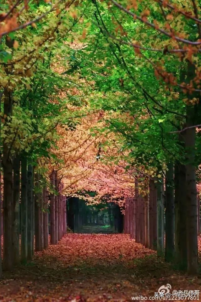 大连有一个蓝色的小城堡景点,大连秋季旅游景点攻略大全