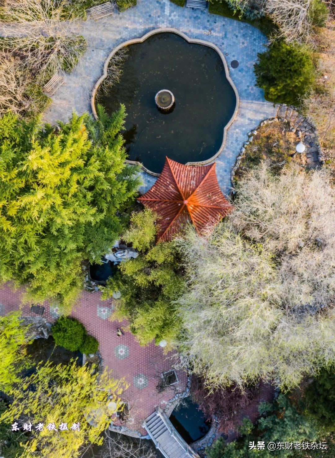 网红美景,网红一棵树樱花园