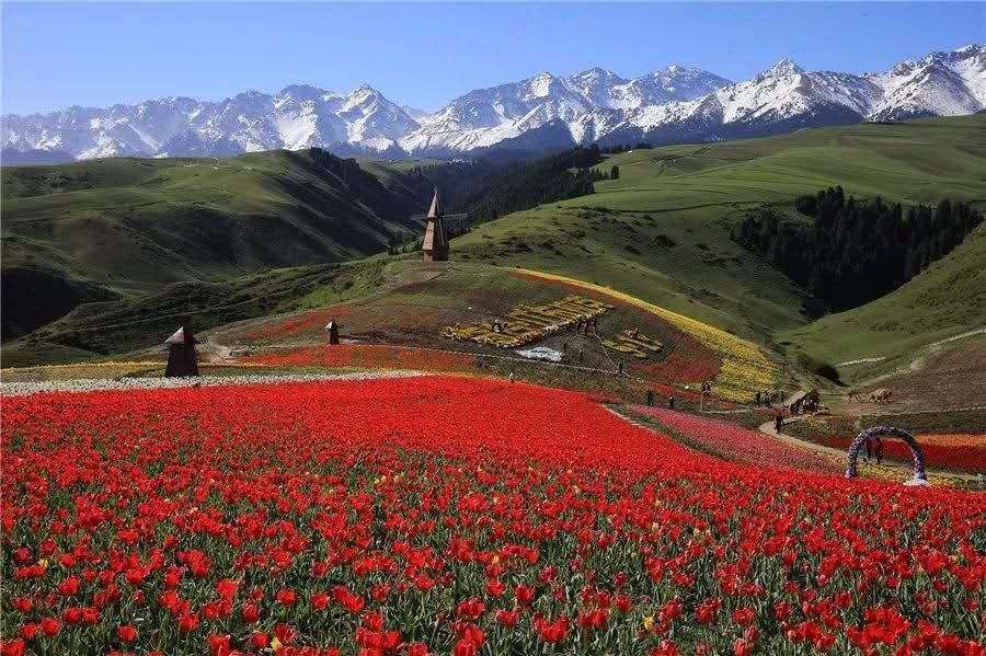 【跋涉边境亲吻祖国】58、奇台：红花似火的边境县…