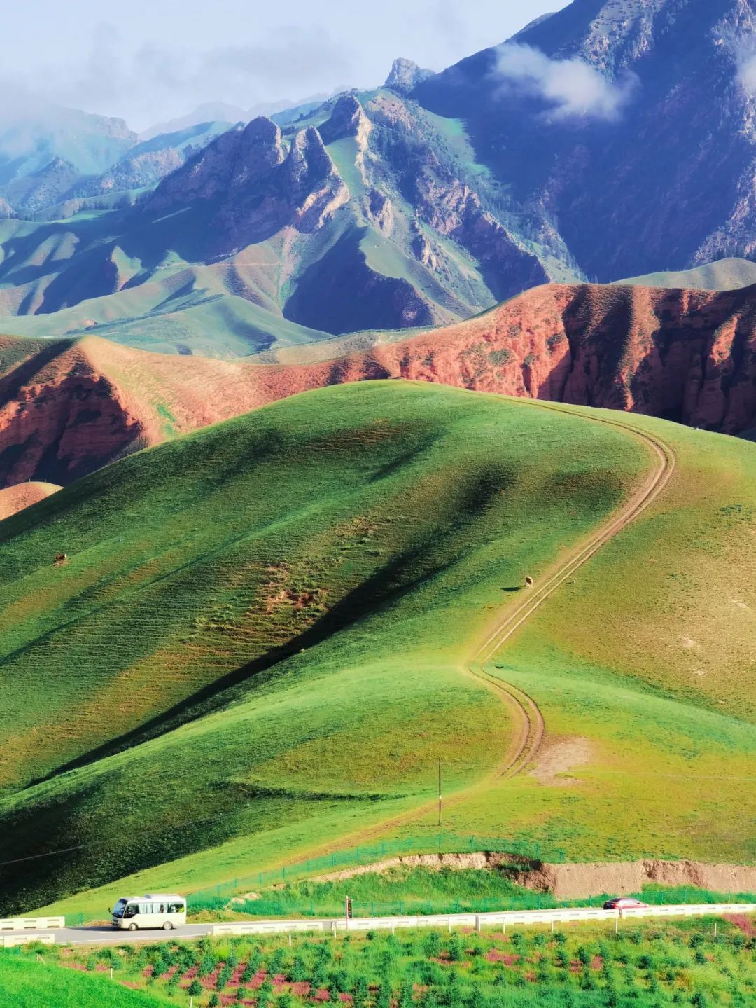 手机外置长焦拍摄效果,外出拍摄相机推荐