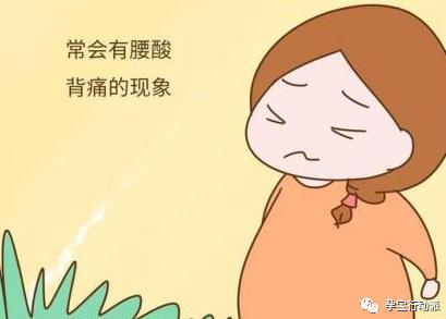 孕期周刊，第二十六周