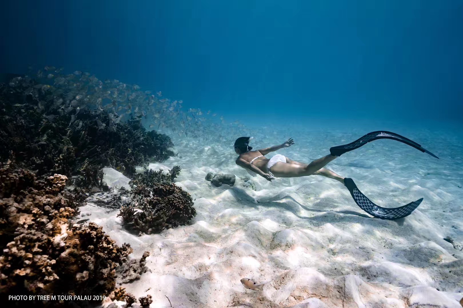 马尔代夫对比巴厘岛普吉岛帕劳,帕劳海滩自由潜水
