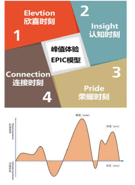 新消费类、服务类、会员制类品牌成功基因探索