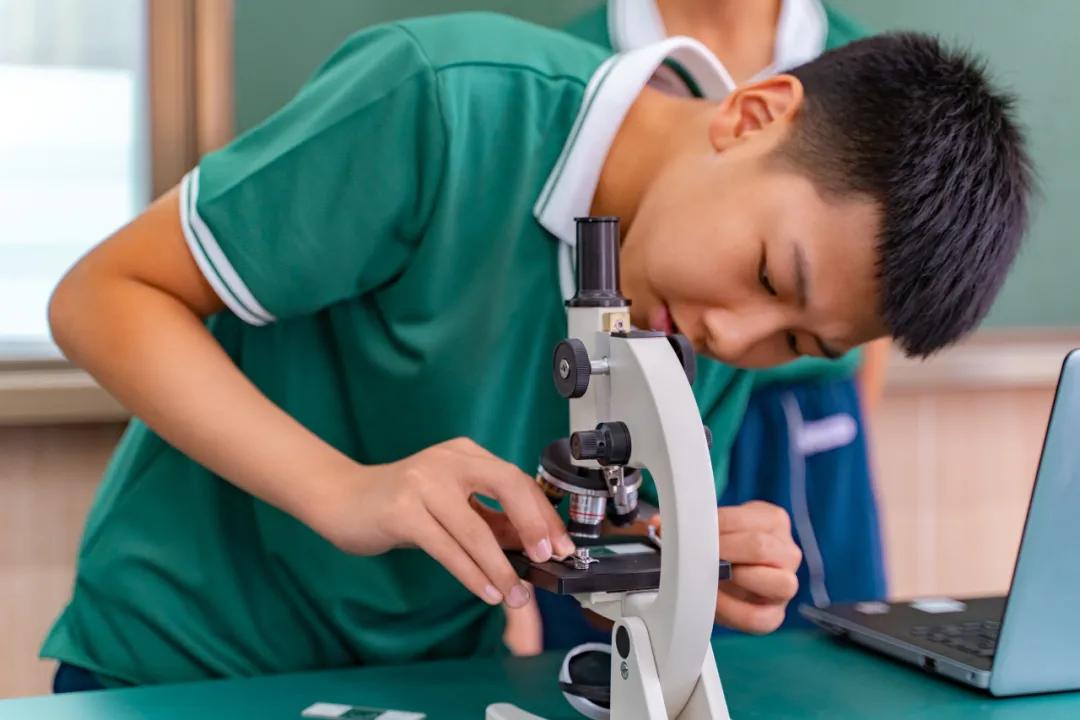 探校南京外国语学校,外国语小学排名及录取线