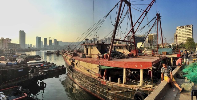 深圳海边最好的公园,深圳有几个靠海的公园