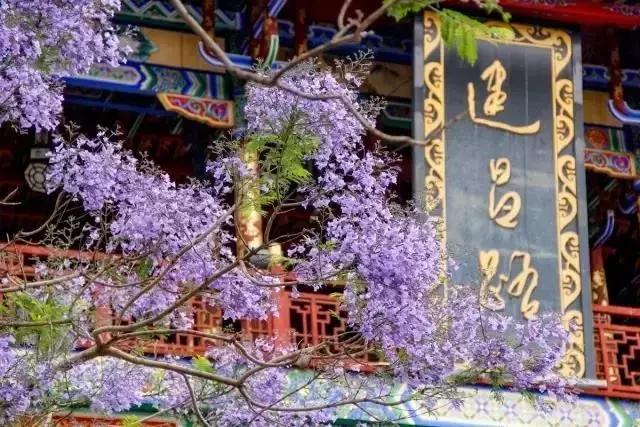 四川这座隐匿千年的古城,四川这座隐藏在喧闹中的千年古镇